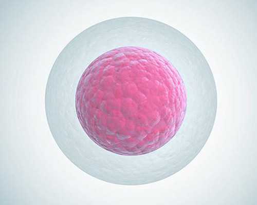 深圳供卵试管婴儿单周费用明细一览，2023借卵试管生男孩费用清单-甲胎蛋白是