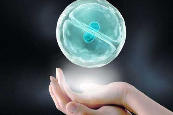 中国的合法供卵_卵巢早衰供卵群_试管婴儿胚胎移植的过程是怎样的？